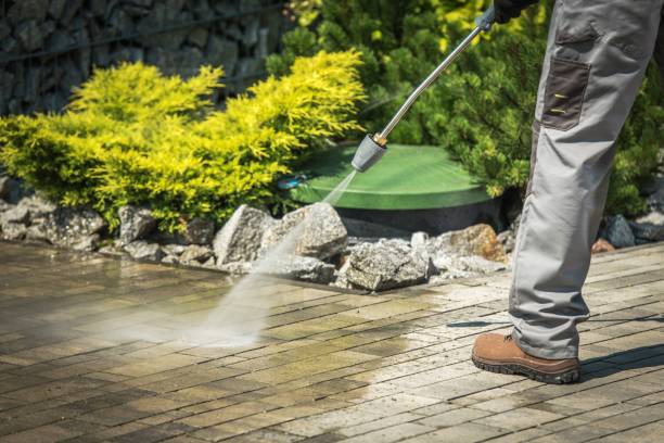 Best Boat and Dock Cleaning  in Carrollton, MO