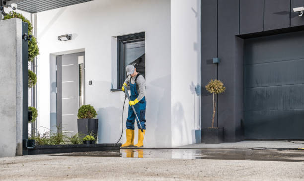 Best Paint Preparation  in Carrollton, MO